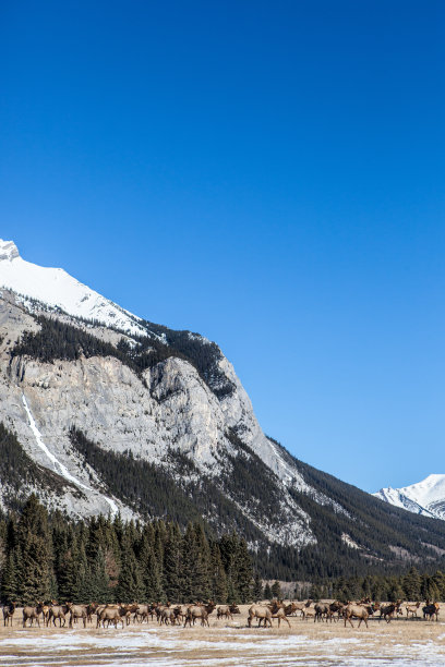班夫国家公园，加拿大阿尔伯塔省图片下载