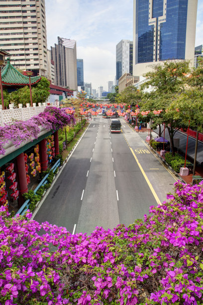 中秋节期间的新加坡唐人街图片下载