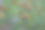 飞行中的蜂鸟图片下载