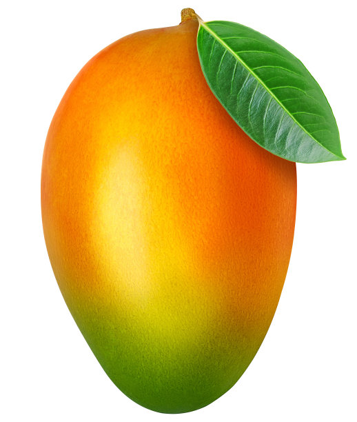 多汁的成熟芒果图片下载
