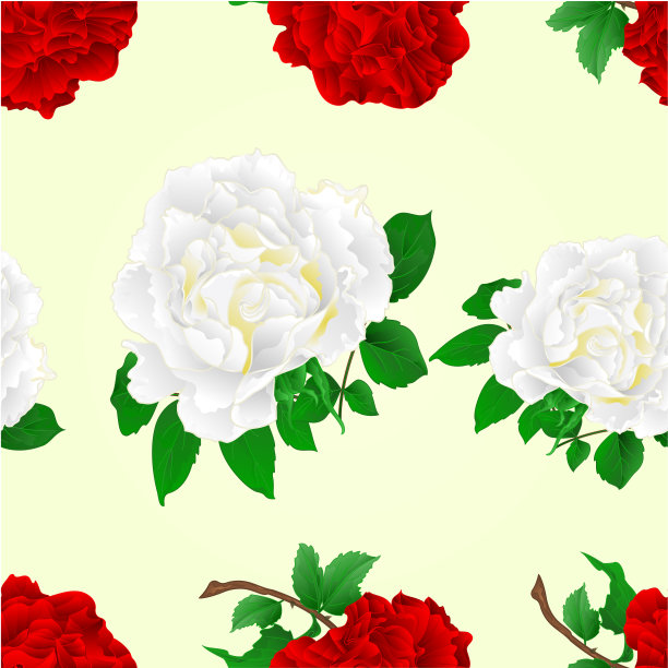 无缝纹理花、红、白玫瑰茎复古矢量插图可编辑图片下载