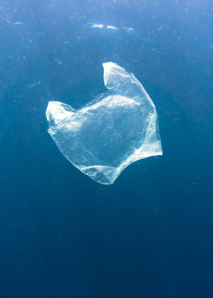 水下图片素材ID：311137674