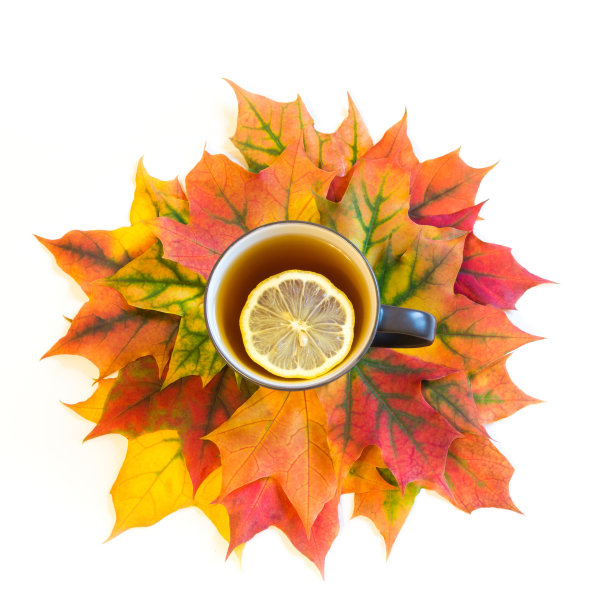 热茶用柠檬覆盖秋叶上的白色。前视图。孤立。图片下载