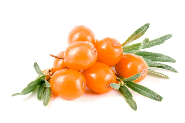 沙棘。新鲜成熟的浆果与叶子孤立的白色背景微距图片下载