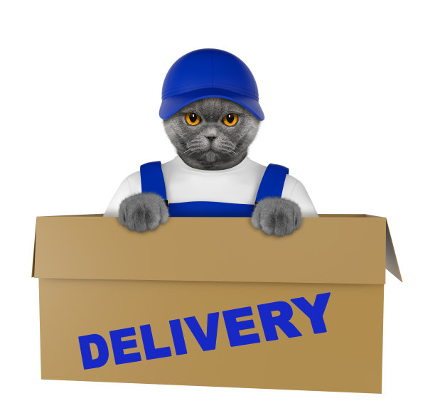 把猫寄到一个非常大的移动盒子里。孤立在白色图片下载