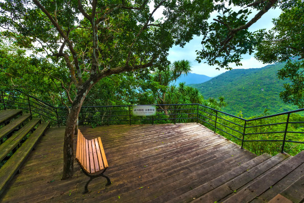 在树下长凳上望山。亚龙湾热带天堂森林公园，海南，中国。图片下载