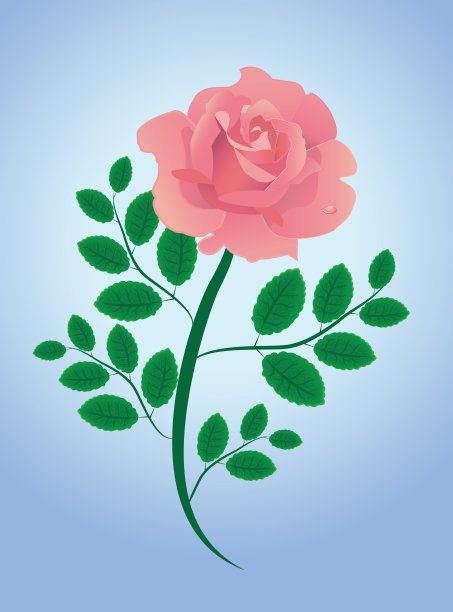 粉色插图向量玫瑰与叶子图片下载