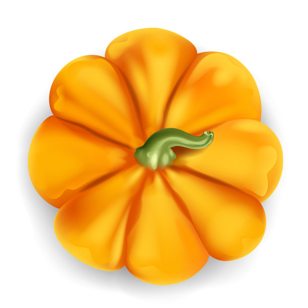 南瓜-美丽，现实，矢量3d插图图片下载