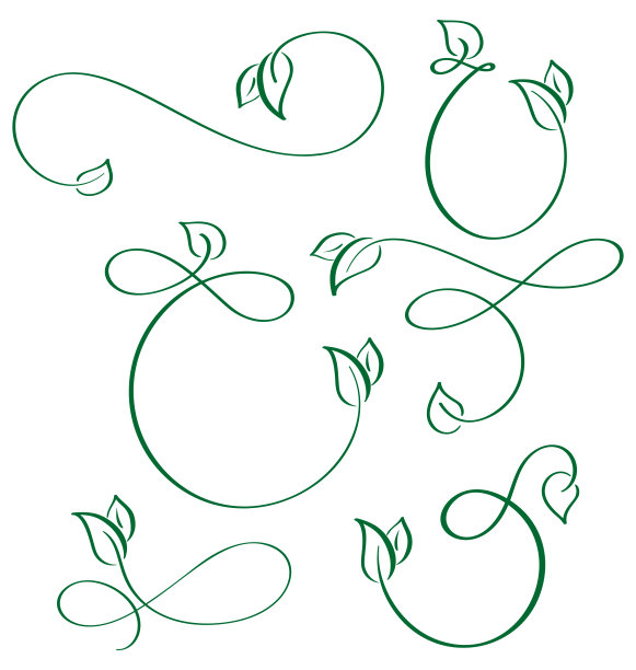 设计师书法元素绿叶图标素设置在白色的背景图片下载