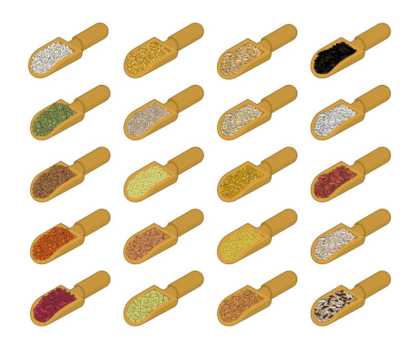 木勺集谷物。大米和扁豆。红豆和豌豆。玉米和大麦。小米和斑袋貂。燕麦、荞麦。碾碎和小麦。木铲的格栅。矢量图图片下载