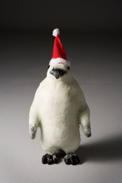 企鹅圣诞老人。图片下载