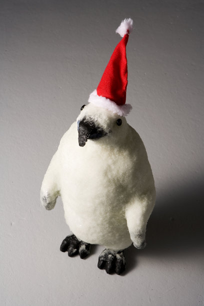 企鹅圣诞老人。图片下载