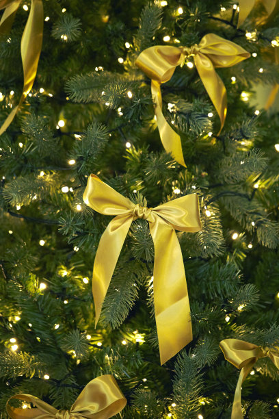 圣诞树图片下载