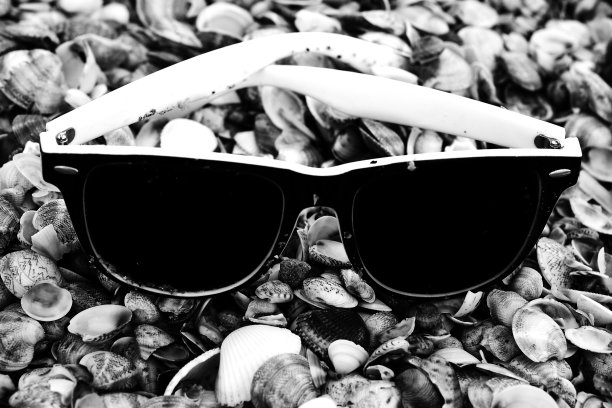 太阳镜在贝壳。图片下载