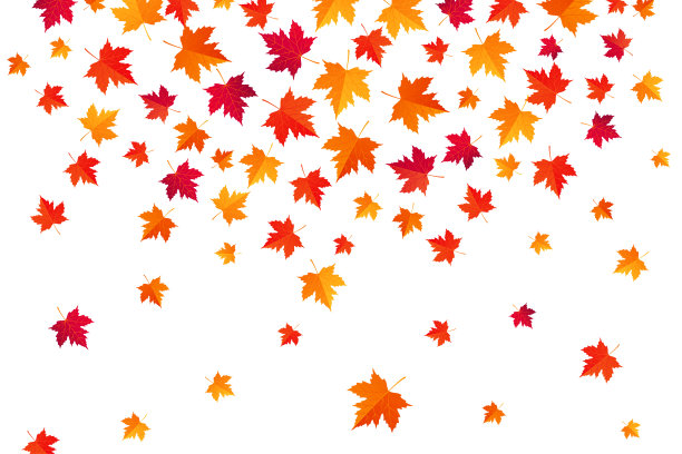 飞秋枫叶-抽象背景-矢量插图图片下载