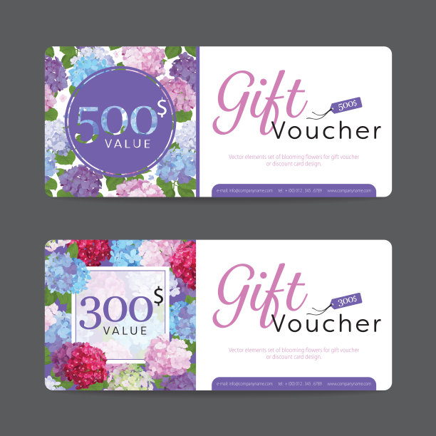 礼品券模板价值500美元和300美元的元素一套盛开的彩色绣球花背景业务。图片下载