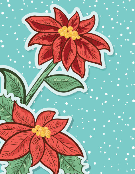 圣诞节一品红背景图片下载