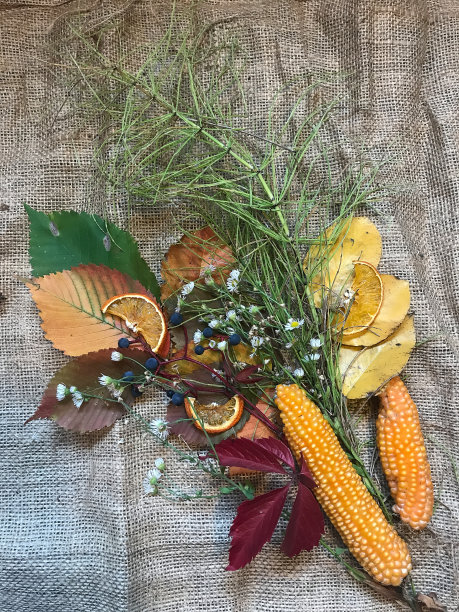 秋天的静物图片下载