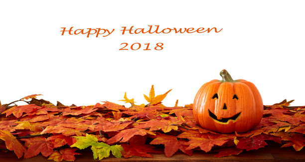 万圣节南瓜图片素材ID：311178576