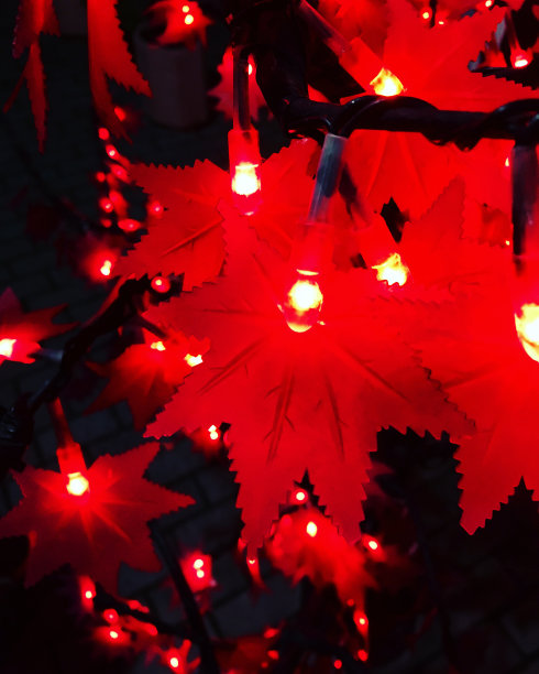 秋叶电灯花环-花卉装饰图片下载