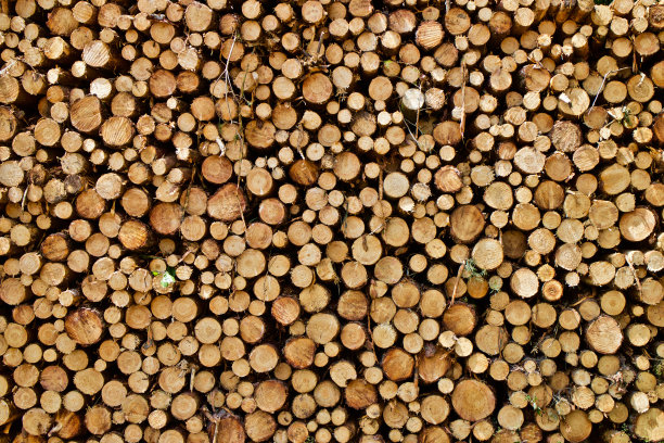 木原木堆图片下载