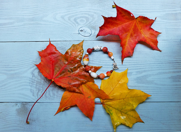 手链和秋叶。图片下载