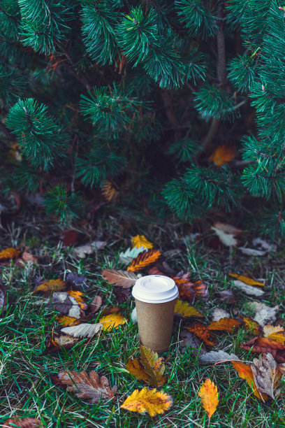 纸咖啡杯和背景与秋天的树叶图片下载