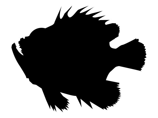 外来海洋鱼类图片下载