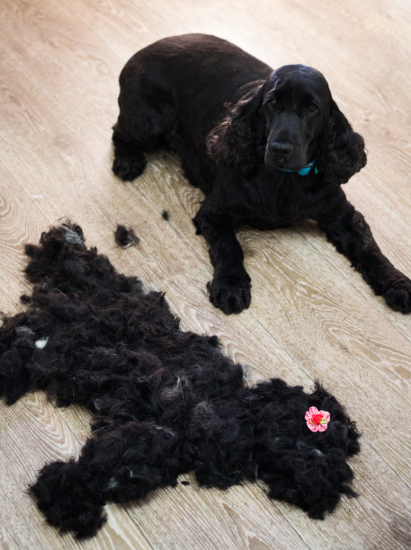 我现在感觉轻松多了!图片下载