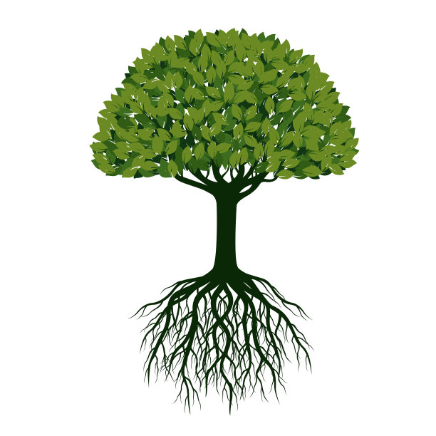 美丽的绿树与根。矢量插图。图片下载