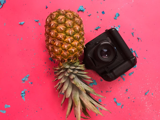 菠萝和相机图片下载