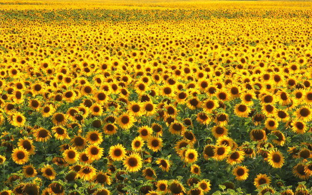 农业领域图片下载