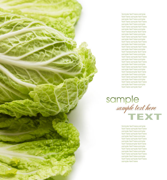 新鲜生生菜和香草图片下载