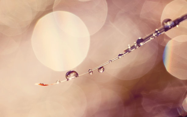 7、散谷之水滴，落一留图片下载