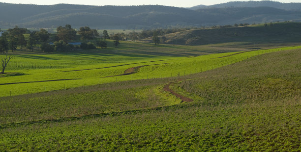 种植作物，农民种植某些作物以获得最大的收益。图片下载