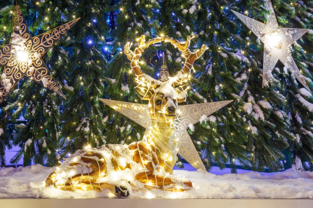 树前有一只鹿的身影图片下载