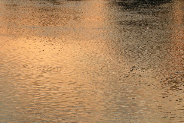 倒影河和影树在水中美丽的日落自然图片下载