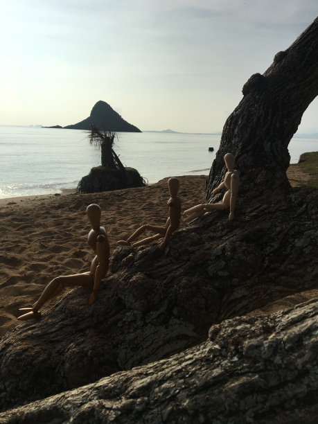 坐在树枝上的剪影图片下载