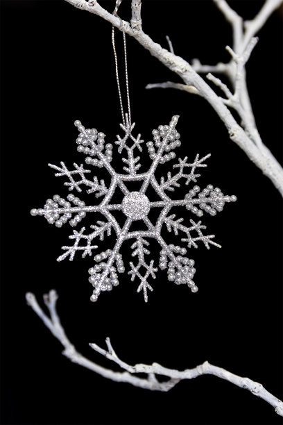 在黑色的背景上，树枝上的白色雪花图片下载