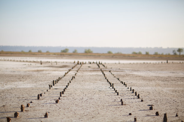 干陆地上的破码头图片下载