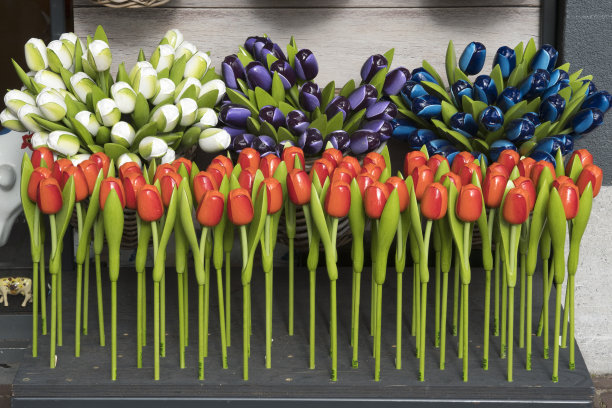 白色、紫色、蓝色和红色的木质塑料郁金香作为荷兰纪念品，荷兰图片下载