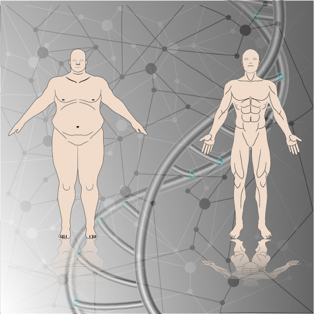 人类的染色体图片下载