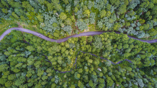 空中的森林与道路图片下载