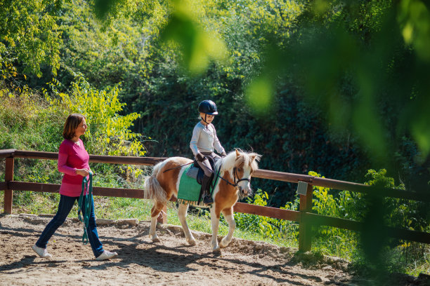 在马术学校与孩子和马的团队合作图片下载