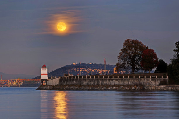 中秋节照片素材ID：311259378