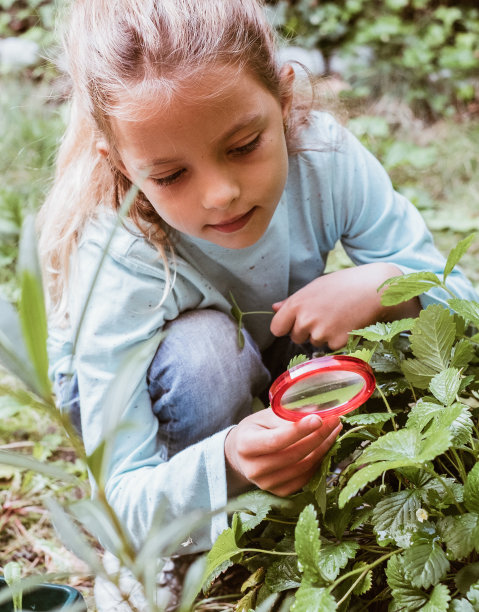小女孩在探索图片下载