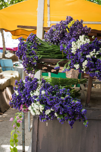 花卉市场图片下载