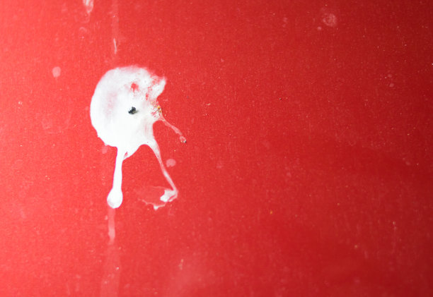 红色汽车上有鸟粪图片下载