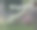 葡萄藤形状像狗头与露珠图片下载