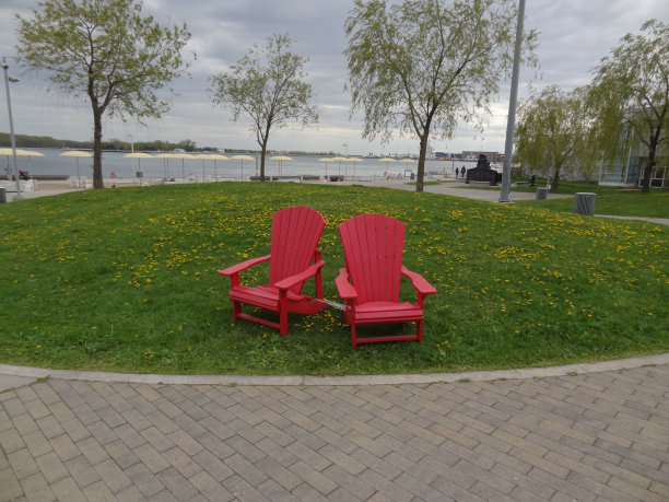多伦多公园里的两把椅子图片下载